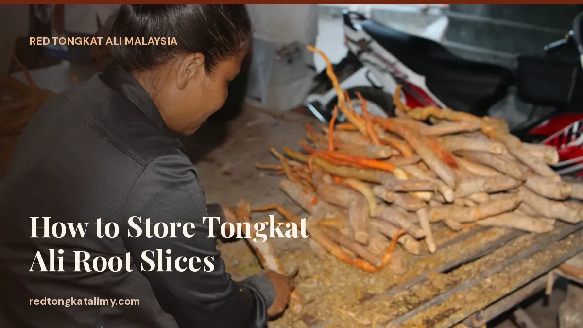 Dried Tongkat Ali roots being cleaned by hand before slicing and packing