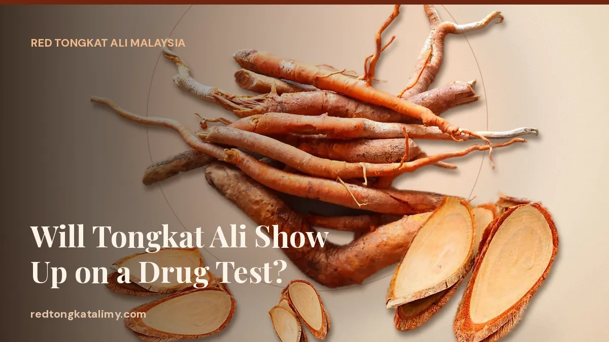 Tongkat Ali root slices and tea — drug testing questions answered