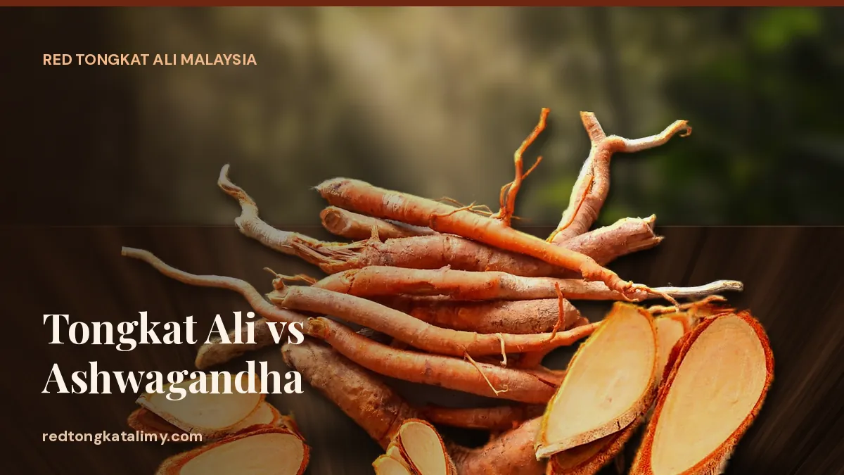 Red Tongkat Ali root slices on a dark wooden table, compared with ashwagandha