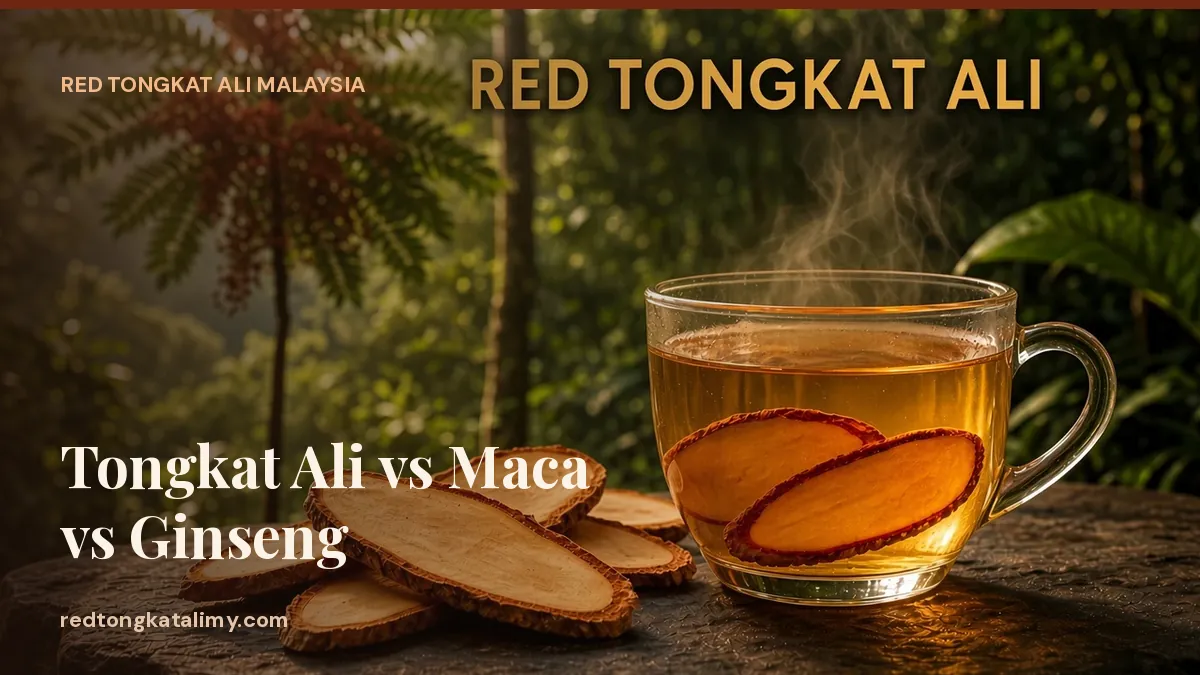 A cup of Tongkat Ali root tea with dried root slices — compared with maca and ginseng