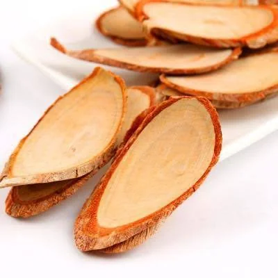 Close-up of red Tongkat Ali root slices showing the reddish bark ring
